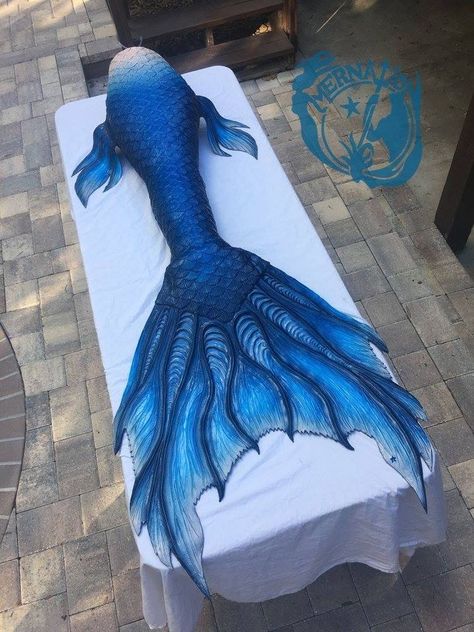 Blue Mermaid Tail Aesthetic, Dark Blue Mermaid Tail, Siren Ideas, Mermaid Tail Aesthetic, Princess Mercury, Fit Portfolio, Siren Tail, Merman Tails, Blue Mermaid Tail