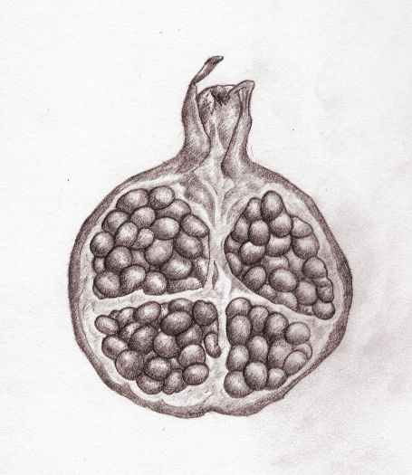 Pomegranate Drawing, Botanical Images, Natural Form, Fruit Art, Chiaroscuro, Natural Forms, Pomegranate, Art Ideas, Boats