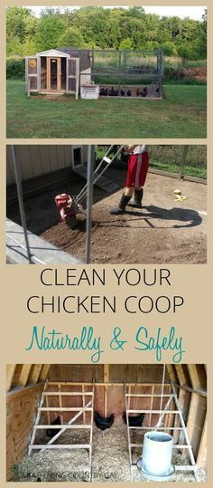 Learn how to clean your chicken coop naturally to promote a healthy flock that lays large abundant eggs year round. via @SLcountrygal Reban Ayam, Duck Care, Pig Care, Chicken Barn, Chicken Care, Clean Chicken, Portable Chicken Coop, Coop Design, Best Chicken Coop