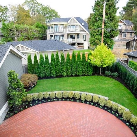 Privacy Landscaping Ideas Ideas, Pictures, Remodel and Decor Screening Plants, Privacy Landscaping Backyard, Privacy Screening, Privacy Trees, Landscaping Trees, Bedroom Traditional, Privacy Landscaping, Garden Privacy, Backyard Privacy