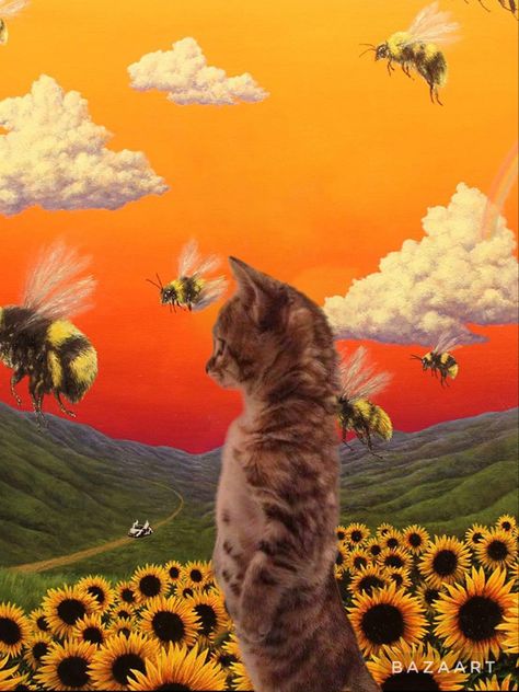 Cat Album Covers, Hyperpop Wallpaper, Tyler The Creator Wallpaper, Ugly Cat, Cool Album Covers, Cat Stands, Silly Cats Pictures, Music Album Covers, Pet Animals