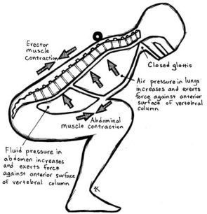 Squat Guide, Valsalva Maneuver, How To Squat Properly, Thoracic Cavity, Middle Ear, Exercise After Pregnancy, Heart Rhythms, Muscle Contraction, Post Partum Workout