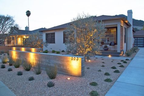 Curb Appeal: Drought Tolerant Front Entrance Modern Landscape Front Yard, Front Yard Curb Appeal, Drought Tolerant Landscape Front Yard, Front Garden Entrance, Landscape Front Yard, Front Yards Curb Appeal, Front Yard Decor, Succulent Landscape Design, Modern Front Yard