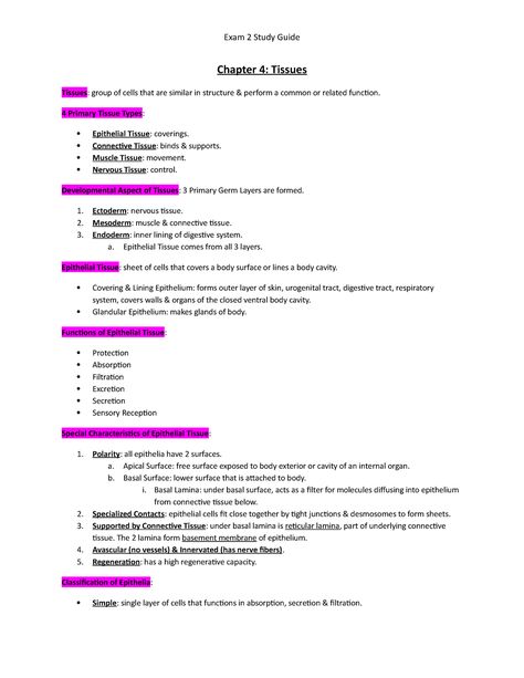 Exam 2 Study Guide - Exam 2 Study Guide Chapter 4: Tissues Tissues: group of cells that are similar - StuDocu Hesi A2 Study Guide Biology, Anatomy And Physiology Tissues, Anatomy Tissues Study, Cells And Tissues Anatomy Notes, Anatomy Tissue Notes, Anatomy Study Guide, Nervous Tissue Notes, Anatomy Tissues, Tissues Anatomy