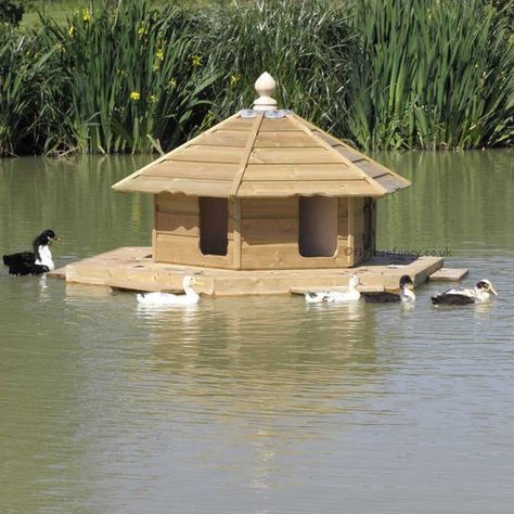 Floating Duck House, Duck House Diy, Duck House Plans, Duck Houses, Goose House, Duck Coop, Poultry House, Duck House, Duck Pond