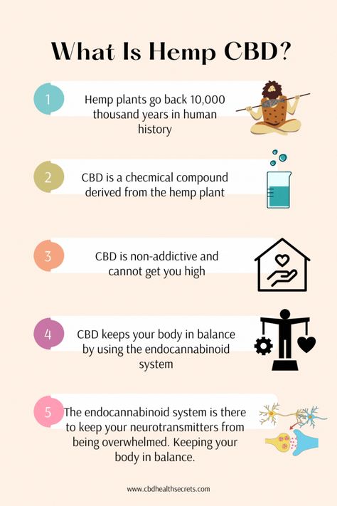 See what hemp CBD is and what it is about. Endocannabinoid System, The Science, Things To Think About, Science