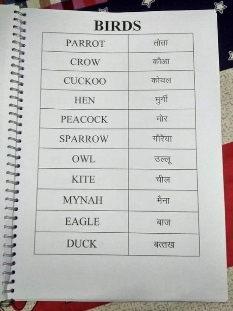 Hindi For Beginners, English To Hindi, Basic English Grammar Book, English Grammar Notes, Alphabet For Toddlers, Sms Language, Hindi Language Learning, English Grammar Book, English Activities For Kids