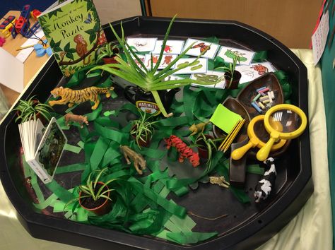 Monkey Puzzle Investigation Table EYFS. Ordering of the story pictures from Twinkl. Monkey Puzzle Activities Eyfs, Storytelling Week Eyfs, Rainforest Eyfs Activities, Rumble In The Jungle Activities Eyfs, Monkey Puzzle Tuff Tray, Rainforest Tuff Tray, Animal Activities Eyfs, Monkey Puzzle Eyfs, Eyfs Rainforest