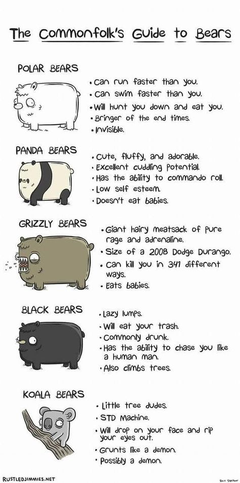 Fat Bear Week Bracket Tournament | Sharing bear humor 🐻♥️ | Facebook Bear Jokes, Snapchat Text, Know Thyself, Memes Of The Day, Paper Animals, Low Self Esteem, How To Run Faster, Panda Bear, Funny Things