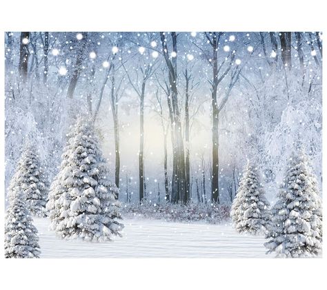 AIIKES 7x5FT Winter Snow Scene Backdrop Winter Forest Photography Backdrop Christmas Tree Snow Scene Decoration Backdrop Christmas Photo Backdrop XY112 Christmas Photo Backdrop, Christmas Tree Snow, Photo Backdrop Christmas, Decoration Backdrop, Backdrop Christmas, Christmas Photography Backdrops, Forest Photography, Snow Scenes, Winter Forest