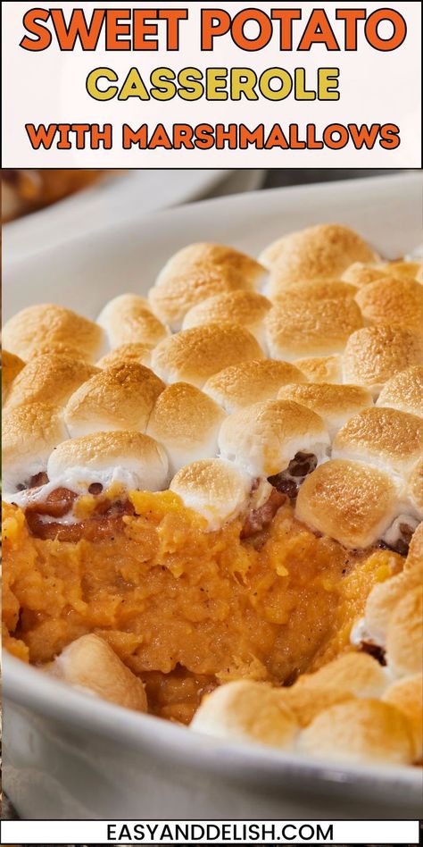 Close up of a plate of Sweet Potato Casserole with Marshmallows. Sweet Potatoes Casserole With Marshmallows, Easy Mashed Sweet Potatoes With Marshmallows, Simple Sweet Potato Casserole With Canned Yams, Classic Sweet Potatoes With Marshmallows, Sweet Potato Casserole With Pecans And Marshmallow, Sweet Potato Marshmallow Thanksgiving Recipes, Sweet Potato Casserole With Canned Yams Marshmallows And Pecans And, Canned Sweet Potato’s With Marshmallows, Sweet Potato Casserole With Pecans And Marshmallows