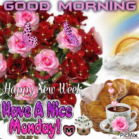 good morning Good Morning Happy Monday New Week, Monday Gif, Monday Morning Blessing, Good Morning Monday, Good Monday Morning, Good Morning Happy Monday, Monday Blessings, Flowers Quotes, Morning Monday