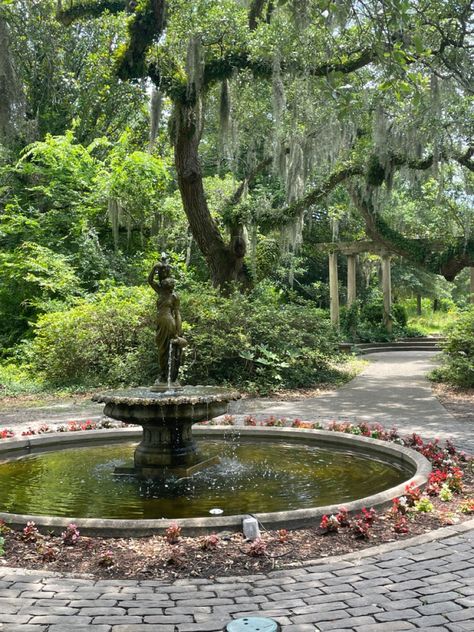 Wilmington Aesthetic, Wilmington Nc Aesthetic, North Carolina Wilmington, Wilmington North Carolina Aesthetic, North Carolina Countryside, Asheville North Carolina Aesthetic, North Carolina Aesthetic, Airlie Gardens Wilmington Nc, Wilmington North Carolina Houses