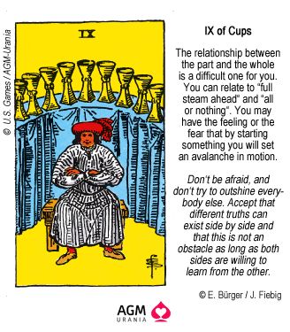 IX of Cups 6 Of Pentacles, Pentacles Tarot Meaning, Tarot Suits, Suit Of Pentacles, Tarot Symbolism, Tarot Pentacles, Suit Of Cups, Tarot Cards Meaning, Tarot Cups