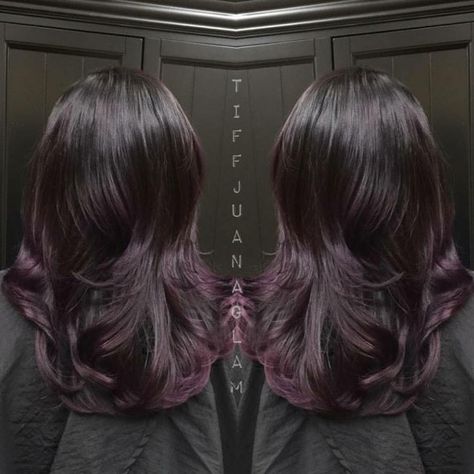 Hair Color How To: Black Cherry by Tiffany Galaviz Brown With Plum Highlights, Black Hair Violet Highlights, Tinted Dark Hair, Eggplant Highlights On Dark Hair, Black Violet Hair, Black Cherry Hair Color Dark, Black Cherry Balayage, Blackberry Hair Color Dark, Violet Black Hair Color