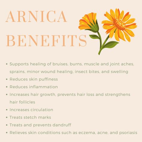 Arnica Benefits Skin, Arnica Benefits, Plant Healing, Herbal Benefits, Increase Hair Growth, Strengthen Hair Follicles, Healing Plants, Herbal Healing, Hair Follicles