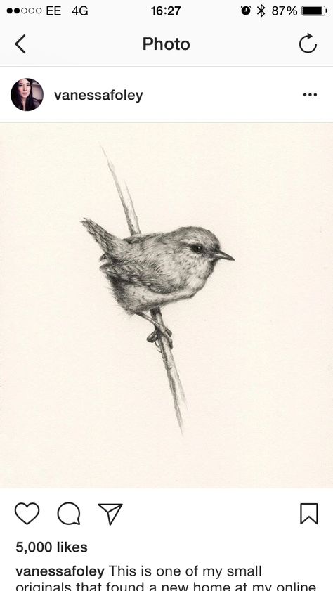 Wren Line Tattoo, Wren Flying Tattoo, Jenny Wren Tattoo, Wren Tattoo Design, Fairy Wren Tattoo, Carolina Wren Tattoo, Warbler Tattoo, Wren Tattoo Simple, Wren Sketch