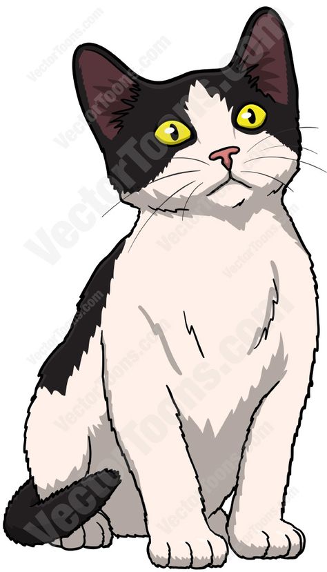 Cat Cartoon Images, Kitten With Blue Eyes, Black And White Kitten, Black Cat Drawing, Black And White Kittens, White And Black Cat, Kitten Drawing, Chibi Cat, Cat Motif