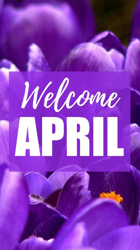 April Iphone Wallpaper, Iphone Wallpaper 2022, Flower Homescreen, Welcome April, April Wallpaper, Wallpaper 2022, Calendar Background, Hello April, Happy New Month