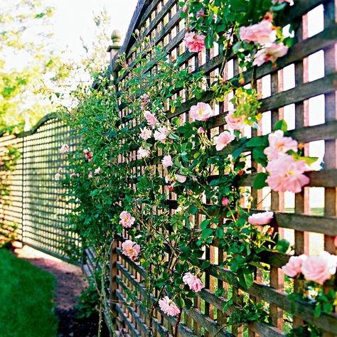 Slide 1: Lattice Screen Vine Support White Vinyl Fence, Flower Fence, Lattice Screen, Wood Privacy Fence, Brick Columns, Whimsical Garden Art, Arbors Trellis, Fence Toppers, Lattice Trellis