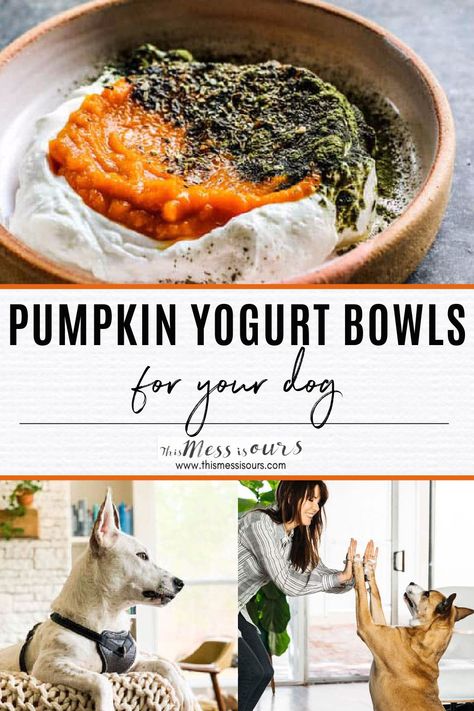 Breakfast is the most important meal of the day for all of us, even our dogs! Get your dog’s day off to a great start by feeding him/her a delicious Pumpkin and Yogurt Bowl for Dogs in the morning. These yogurt bowls are filled with good for your #dog ingredients like plain, fat free Greek yogurt, 100% pure pumpkin puree, plant based vitamin and mineral powder, and my Homemade #DogFood Seasoning which is a blend of 5 herbs that have extraordinary health benefits for your dog! #thismessisours Breakfast For Dogs Homemade, Breakfast Ideas For Dogs, Dog Breakfast Recipes, Greek Yogurt For Dogs, Breakfast For Dogs, Pumpkin Recipes For Dogs, Oatmeal For Dogs, Pumpkin For Dogs, Puppy Recipes