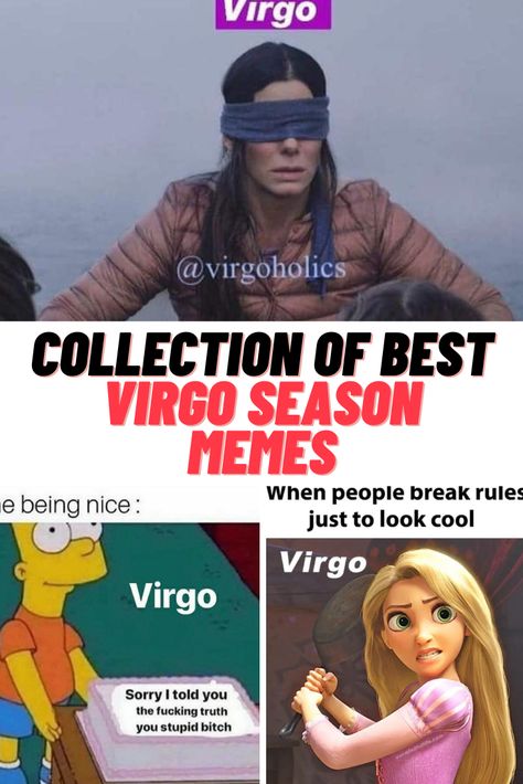 Virgo Memes - Virgo Season #Virgo #Virgo #VirgoSeason #memes Virgo Funny Humor, Virgo Memes Funny, Funny Virgo Quotes Hilarious, Virgo Season Is Coming, Virgo Humor, Virgo Funny, Funny Virgo Quotes, Friday The 13th Memes, Funny Virgo