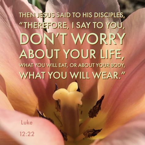 Luke 12:22 – Verse Images Living For God, Cast All Your Cares, Childlike Faith, Verse Images, Do Not Worry, Thank You For Caring, Luke 12, Abba Father, Jesus Said