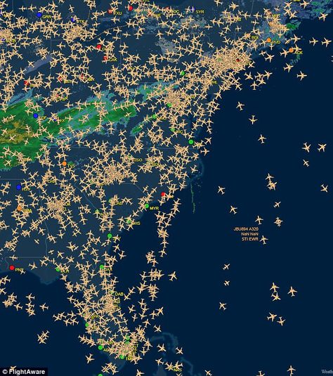 US Flights Tracked Day's Before Christmas! Flight Map, Aviation Education, Flight Tracker, Flight Patterns, Mangrove Forest, Days Before Christmas, Interactive Map, Before Christmas, The Holiday