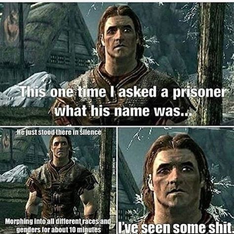 Elder Scrolls Memes, Skyrim Game, Skyrim Funny, Nerd Memes, Skyrim Art, Lotr Funny, Dark Souls 2, Elder Scrolls Skyrim, Dark Souls 3