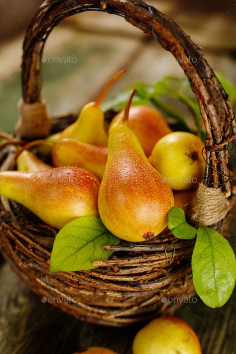 Ripe Pears, Summer August, Elsie De Wolfe, Fruits Photos, Fruits Images, Fruit Photography, Nature Summer, Beautiful Fruits, Fruit Painting