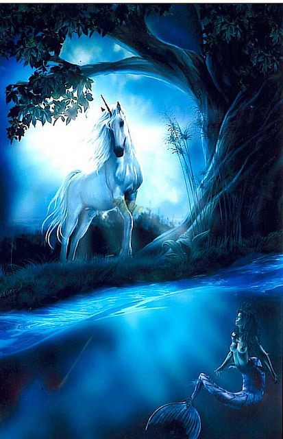 Wallpaper Unicorn, Unicorn And Fairies, Pegasus Unicorn, Unicorn Pictures, Unicorns And Mermaids, Fantasy Horses, The Last Unicorn, Unicorn Horse, Beautiful Unicorn