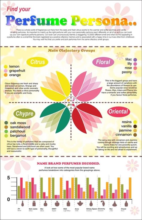 Find Your Perfume Persona infographic Perfume Knowledge, Fragrance Tips, Homemade Perfume, Perfume Recipes, Catchy Slogans, Diy Perfume, Oil Perfume, Diy Products, Citrus Fragrance