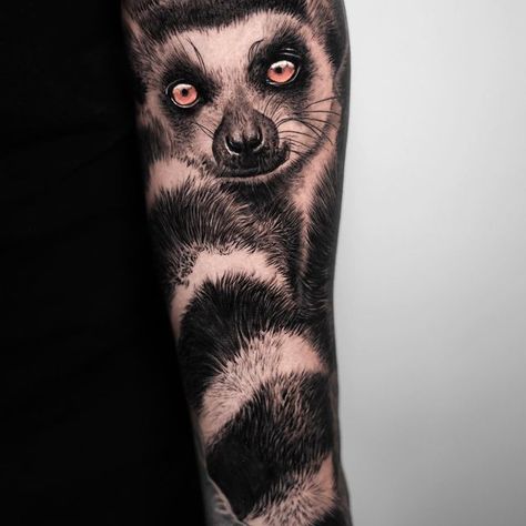 Did you know Lemurs have a female-dominant society? And there are over 100 different species of Lemurs. Nature is fascinating @moretats_ #lemur #tattoo #tattooideas #tattoolove #tattooinspiration #besttattooartist #lemurtattoo #animaltattoo Lemur Tattoo, Lemur Art, Africa Tattoos, Thigh Tat, Animal Sleeve Tattoo, Wicked Tattoos, Different Species, Owl Tattoo, Blackwork Tattoo