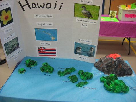 Hawaii 2015 Hawaii Day At School, Hawaii School Project Ideas, Hawaii State Project, Hawaii Unit Study, State Float School Project California, Hawaii School, California Regions Project 4th Grade, Third Grade Projects, Multicultural Fair