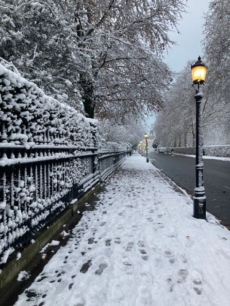 Winter Street Photography, Winter City Aesthetic, Snowy Neighborhood, 2020 Nostalgia, Washington Dc Winter, Snowy Neighborhood At Night, Snowy City Aesthetic Night, Snow Street Night, Snowy City