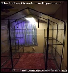 Greenhouse In Basement, Basement Greenhouse Diy, Basement Greenhouse Ideas, Basement Garden Indoor, 6x4 Greenhouse Interior, Basement Greenhouse, Indoor Greenhouse Room, Detolf Greenhouse Cabinet, Indoor Greenhouse Cabinet Jungle