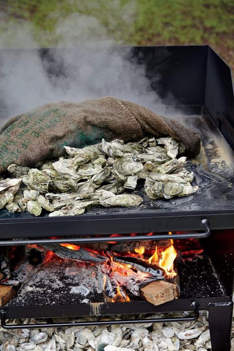 Oysters At Home, Oyster Roast Party, Lowcountry Style, Smelly Dog, Oyster Roast, Oyster Knife, Oyster Recipes, Oyster Crackers, Fresh Oysters