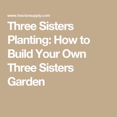 Three Sisters Planting: How to Build Your Own Three Sisters Garden Three Sisters Planting, Three Sisters Garden, The Three Sisters, Three Sisters, Vegetable Gardening, Build Your Own, How To Build, Planting, Outdoor Spaces