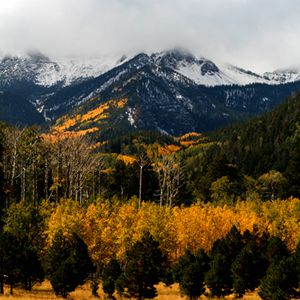 Fall in Flagstaff, Arizona - a short 2 1/2 hour drive from the Valley and we have this. Flagstaff Az, Flagstaff Arizona, Mountain Travel, Northern Arizona, Arizona Travel, Fall Travel, Flagstaff, Been There Done That, Travel Places