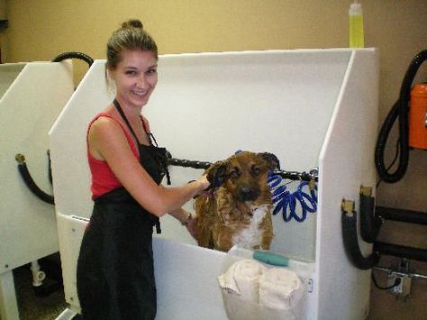 Self-serve dog wash businesses are springing up around the globe, enabling those in the pet industry to really clean up, literally and figuratively. Guard Dog Training, Dog Kennel Cover, Dog Washing Station, Pet Resort, Grooming Shop, Dog Salon, Dog Business, Dog Grooming Business, Dog Ages