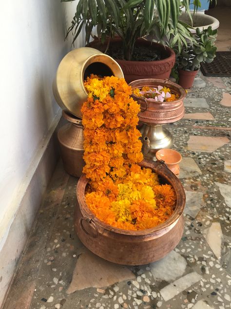 House Warming Saree Look, Amanzoe Wedding, Physical Development Activities, Rangoli Idea, Diwali 2024, Simple Flower Rangoli, Home Flower Decor, Flower Backdrop Wedding, Indian Room Decor