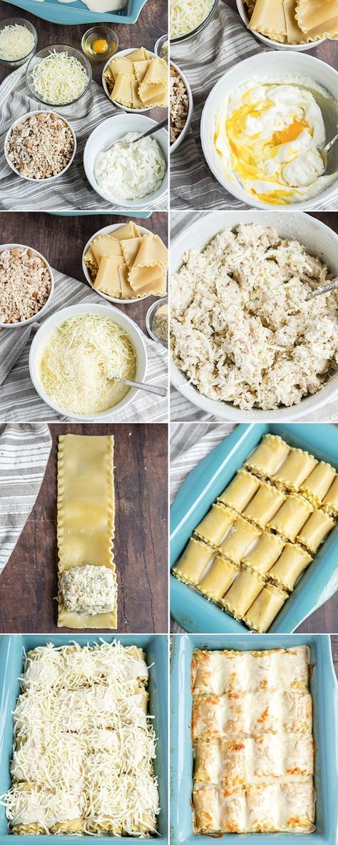 How to make chicken alfredo roll ups Chicken Alfredo Rolls, Chicken Alfredo Roll Ups, Alfredo Roll Ups, Chicken Alfredo Lasagna Roll Ups, Alfredo Lasagna Roll Ups, Lasagne Roll Ups, Chicken Lasagna Rolls, Chicken Lasagne, Chicken Bacon Alfredo