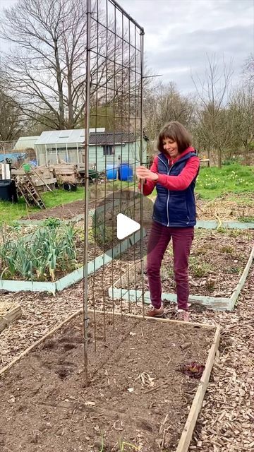 Vera Greutink | Edible Garden on Instagram: "Yesterday felt like the proper start of the gardening season! I put up my trellis and planted out presown snow peas. I also sowed some spinach and lettuce along the trellis to make use of the whole bed and the shelter provided by the row cover. It protects the plants both from cold and wind and pigeons. And now I’ll just have to hope for the spring to properly set in! Have you been able to do some gardening this weekend?" Wind Garden, Pea Trellis, Stone Edging, Row Covers, Vegetable Garden Diy, Snow Peas, Plant Protection, Seasonal Garden, Small Space Gardening