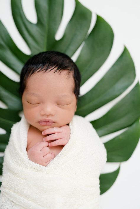 Tropical Newborn Photoshoot, Jungle Newborn Photography, Litter Photoshoot, Spring Newborn Photos, Newborn Photos Boy, Newborn Flower, Winter Newborn, Newborn Family Photos, Newborn Photography Poses