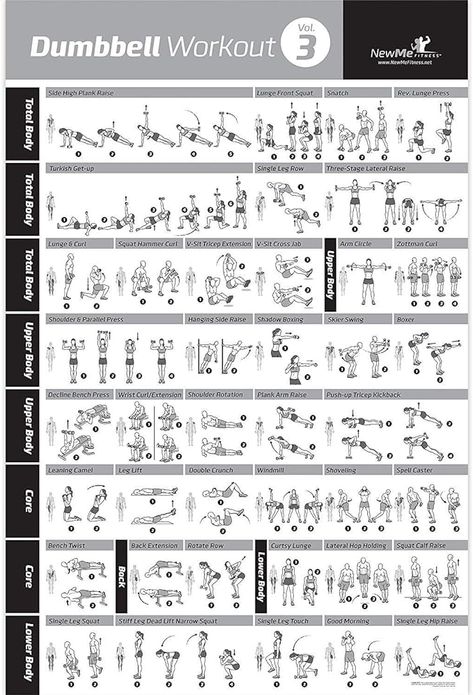 Printable Dumbbell Workout Chart 506 Dumbell Workout Printable, Dumbbell Workout Chart, Workout Printable, Muscle Building Workout Plan, Arm Workout Routine, Exercise Poster, Workout Strength Training, Dumbbell Exercise, Complete Body Workout