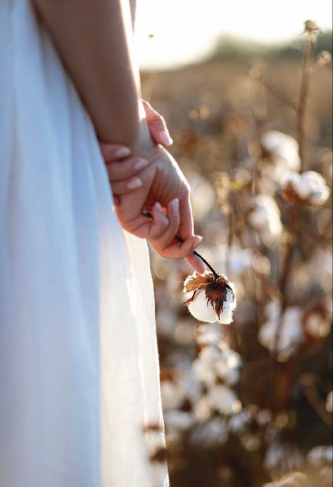 Cotton Fields Photography, Cottonfield Photoshoot, Cotton Photoshoot, Cotton Field Photoshoot, Cotton Field Photography, Insta Collage, Cottagecore Photoshoot, Cover Novel, Field Photos