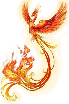 Tato Phoenix, Fenix Tattoo, Phoenix Drawing, Phoenix Tattoo Feminine, Small Phoenix Tattoos, Phoenix Bird Tattoos, Phoenix Artwork, Phoenix Images, Vogel Tattoo