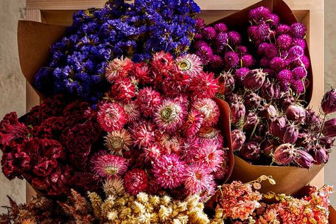 These are The Best Flowers and Plants for Drying Midwest Weekend Getaways, Steve Adams, Diy Bouquets, Midwest Living, Everlasting Flowers, Subscription Gifts, Favorite Flowers, Diy Bouquet, Flower Farm