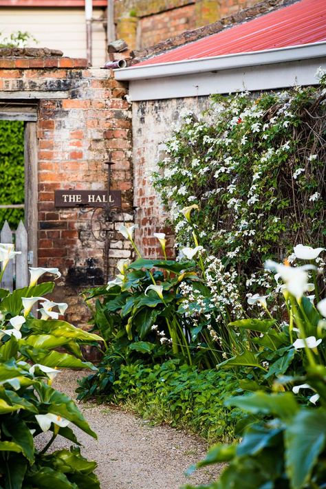 A rural landscape transformed by a grand garden design | Country Style Arum Lily Garden, Claire Takacs, Arum Lilies, Montana Photography, Gravel Pathway, Fern Garden, Country Garden Design, Arthur's Seat, Rural Property