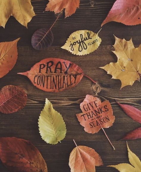 Absolutely... Celebrate life in your best way!!! ✨💛✨ 1 Thessalonians 5 16, Pray Continually, Francis Chan, Beth Moore, Thanksgiving Quotes, Happy Fall Y'all, Bible Verses Quotes, Happy Fall, Give Thanks